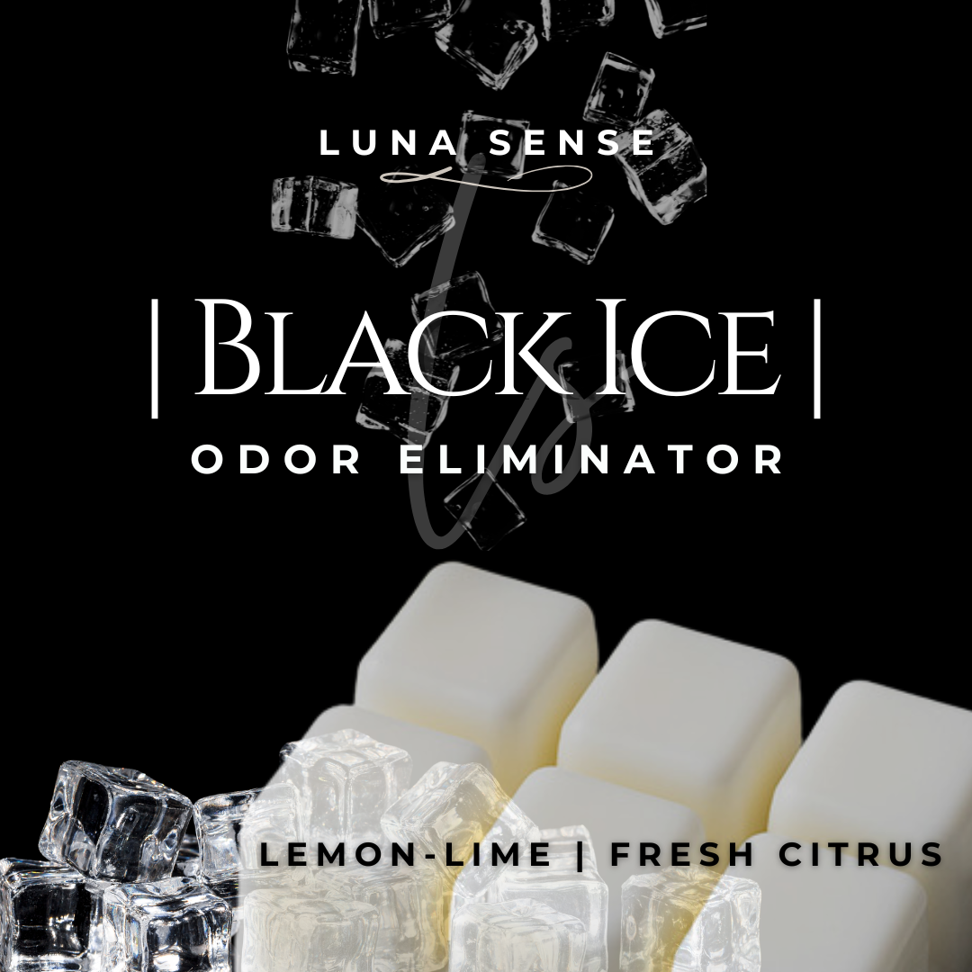 Black Ice Wax Melt