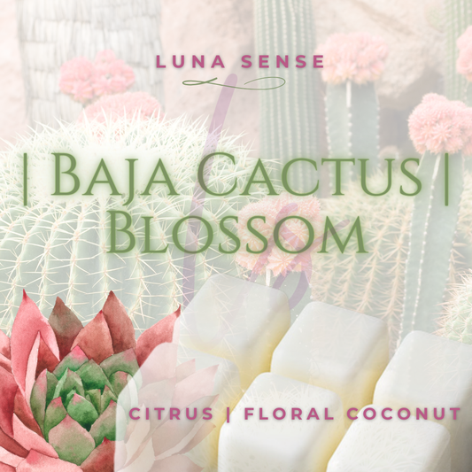 Baja Cactus Blossom Wax Melt