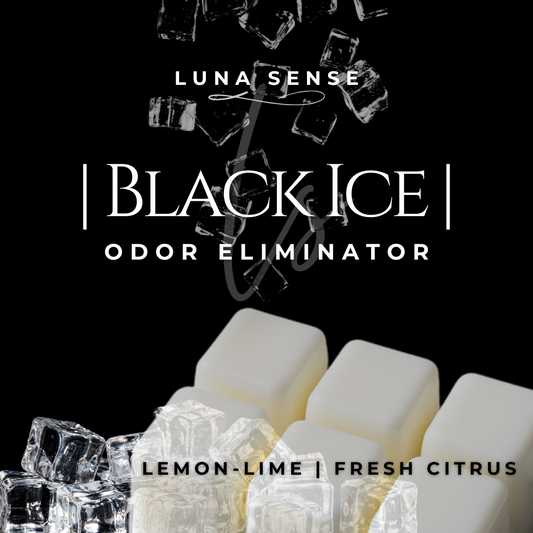 Black Ice Wax Melt